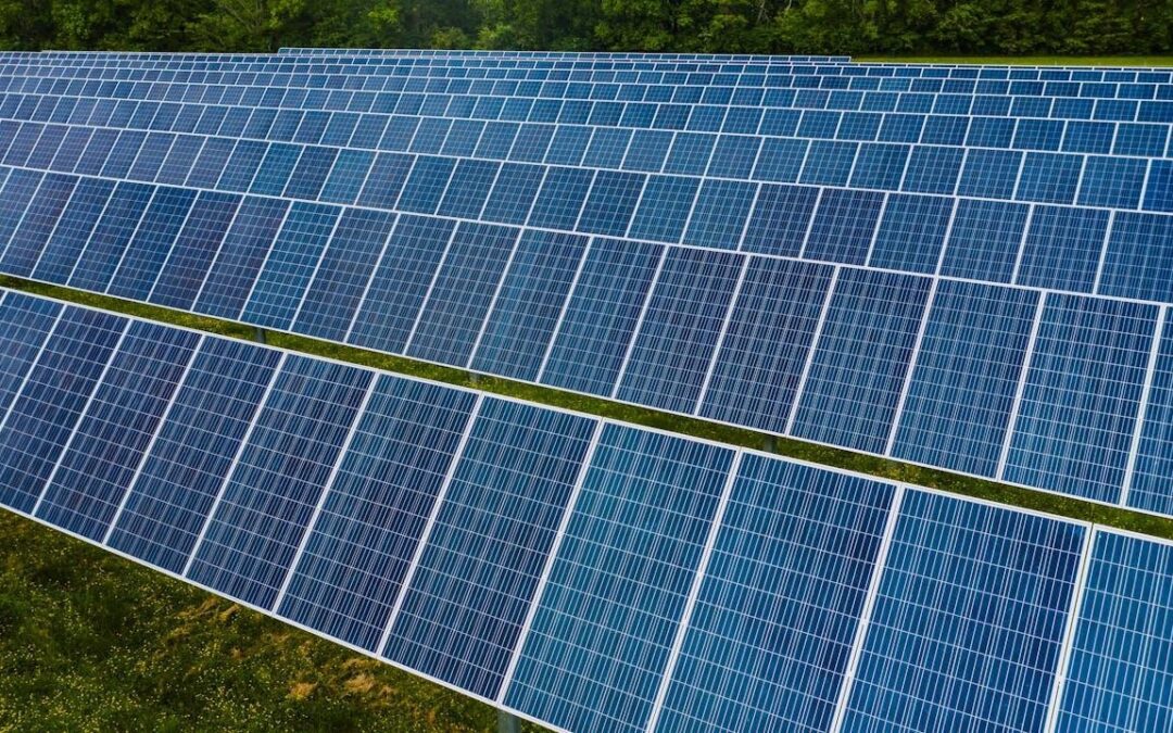 Why Vegetation Management is Critical for Solar Farm Output & Equipment Safety