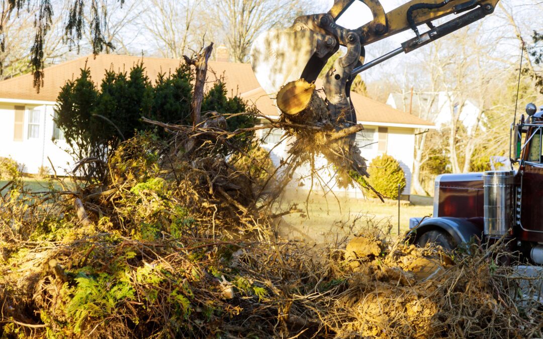Why Hiring a Professional Vegetation Control Company Helps You Avoid Costly Damage