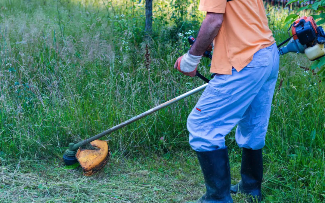 The Role of Right-of-Way Clearing in Utility Infrastructure Safety