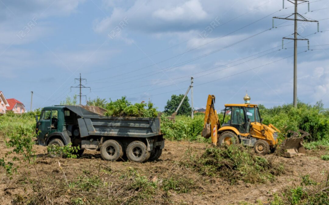 Right-of-Way Vegetation Management for Utility & Municipal Infrastructure in Texas
