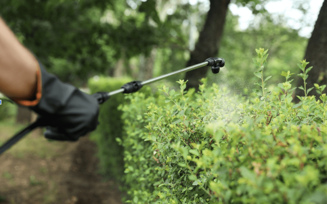 5 Signs Your Property Needs Industrial Land Clearing or Vegetation Removal