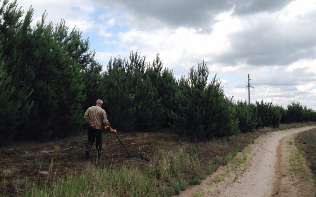 What Seasonal Changes Mean for Marshland Vegetation Control in Texas