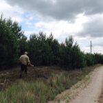 Marshland Vegetation Control in Texas