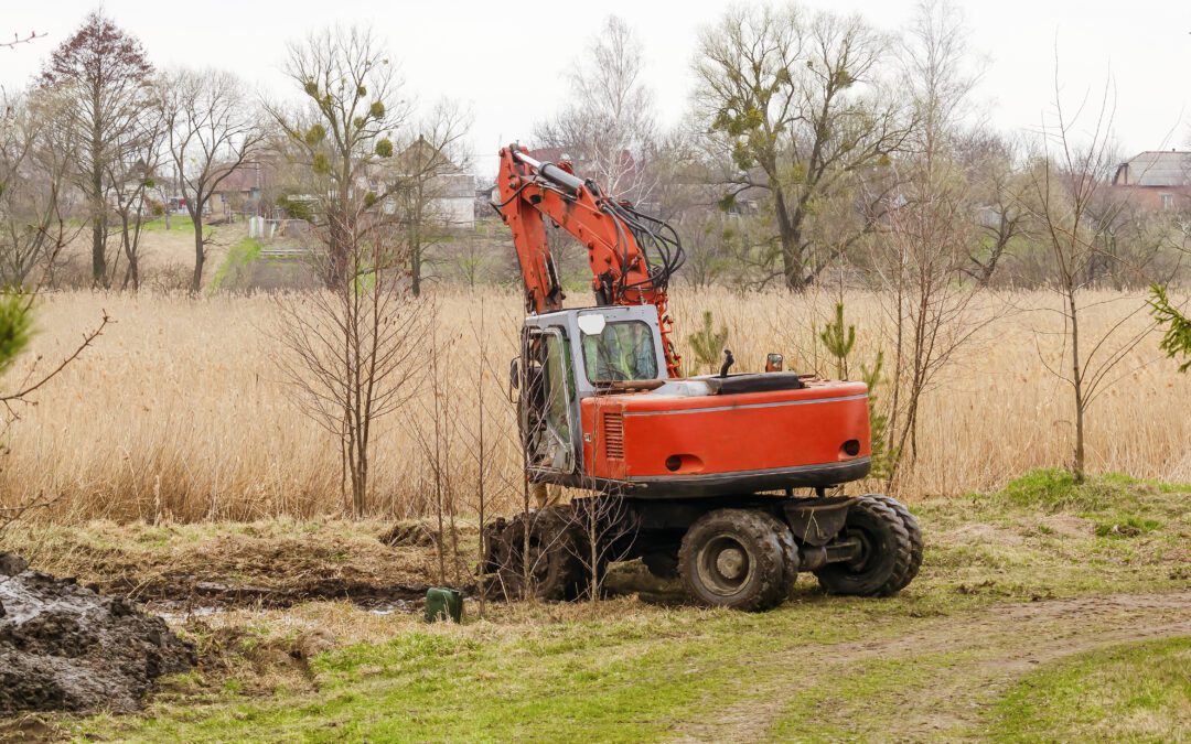 How A&G Weed Control Handles Vegetation Removal in Marshland