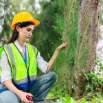 Vegitation management in texas